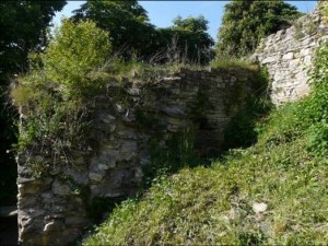 obr. 1 – Košumberk, hrad. Vstupní věž starého hradu před zahájením výzkumu. 